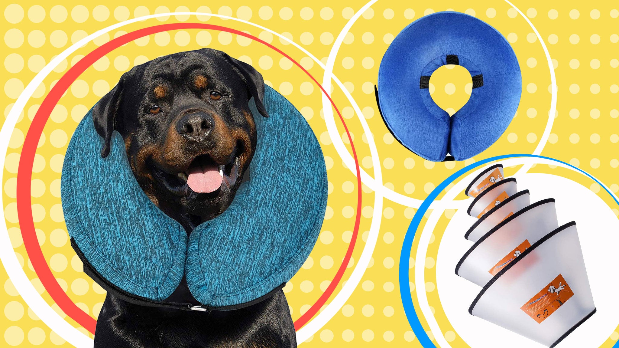 Best Dog Cones | Top-Rated Dog Cones of 2022 | Retrievist : Retrievist