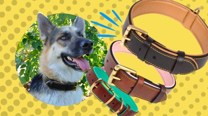 Best Leather Collars