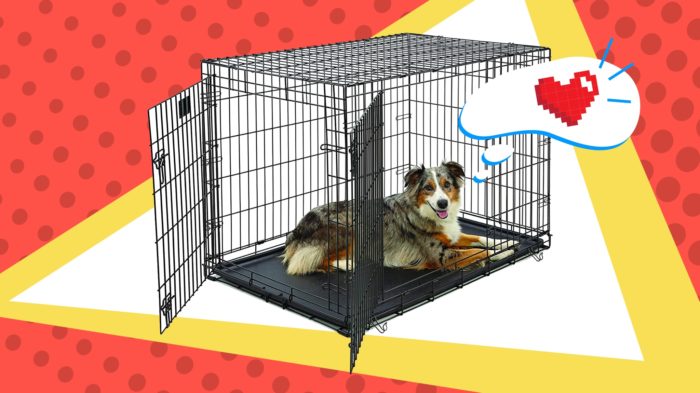 Best Wire Dog Crates