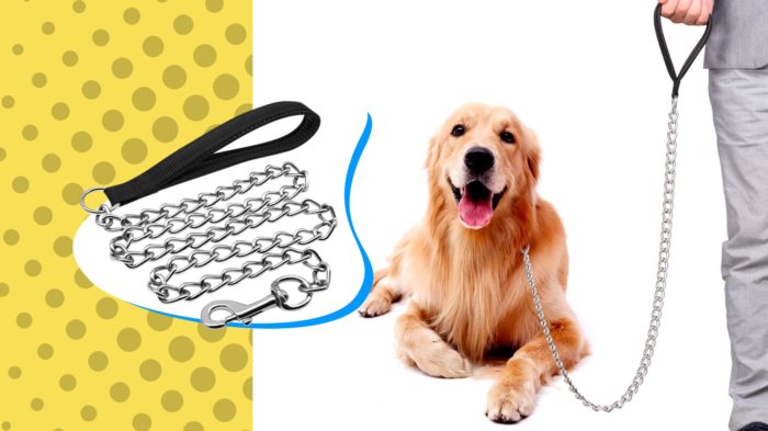 Best Chain Dog Leashes
