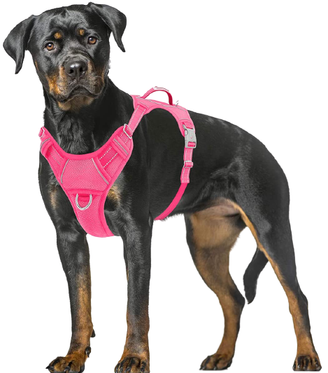 BARKBAY No Pull Dog Harness Front Clip Heavy Duty Reflective Easy Control Handle for Large Dog Walking 