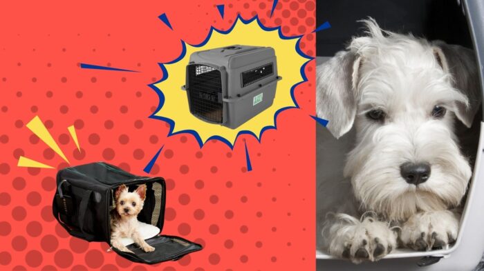 Dogs in airline-approved pet carriers.