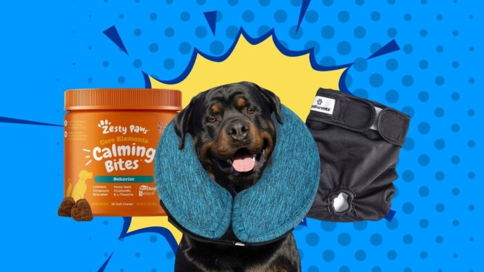 From probiotics to cones, these are the best dog heath products.