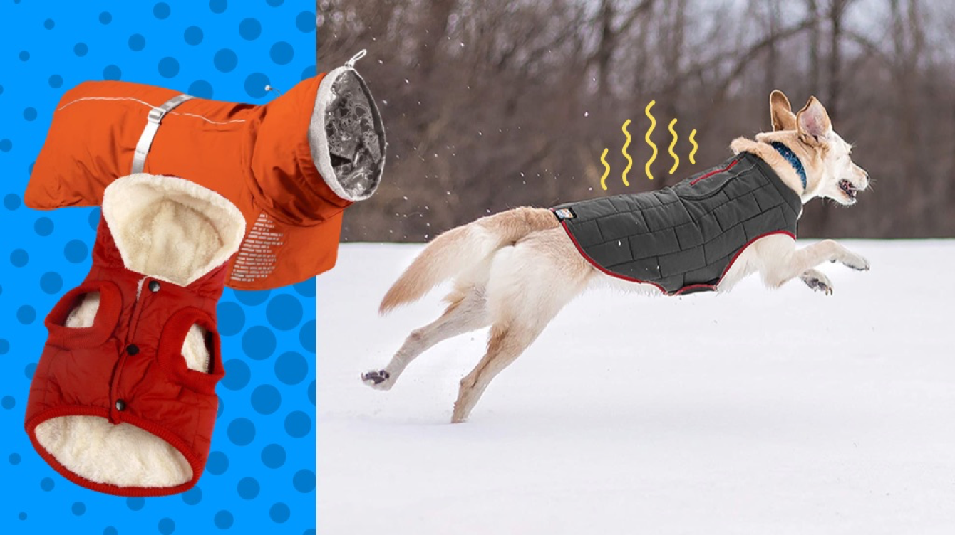 Reflective Safey Dog Vest Thick Padded Comfortable Winter Dog Jacket ThinkPet Warm Reversible Dog Coat 