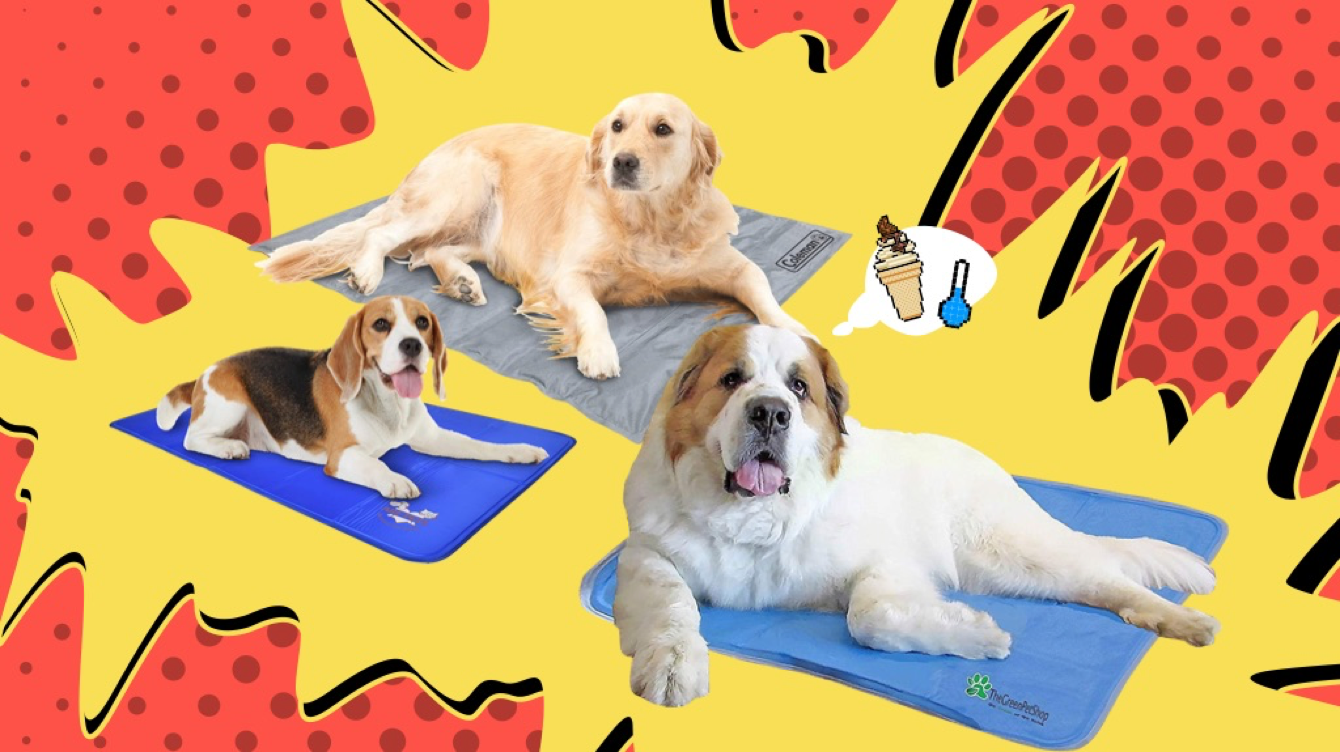 Dog Mats Dog Accessories Dog Cooling Vest to Help Your Pet Stay Cool Pet Cooling Pads for Dogs PETRIP Dog Cooling Mat Ideal for Home & Travel Avoid Overheating 