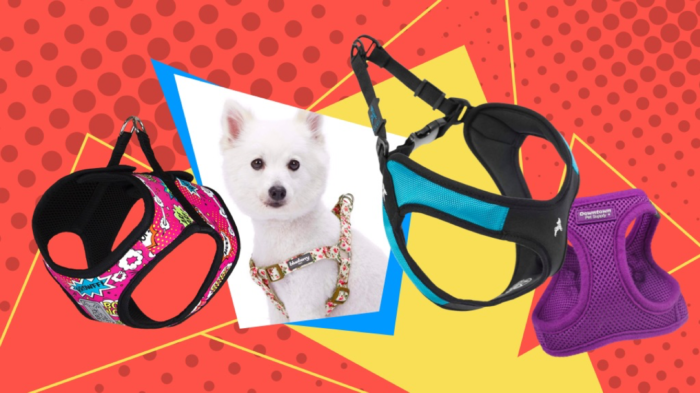 Best Step-in Dog Harnesses