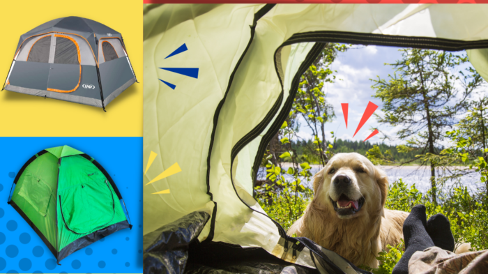 dog tents