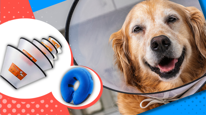 Dog Cones and E-collars