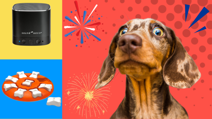 Dog fireworks products