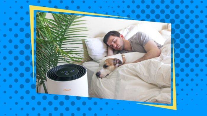 Dog snuggled up with owner next to air purifier