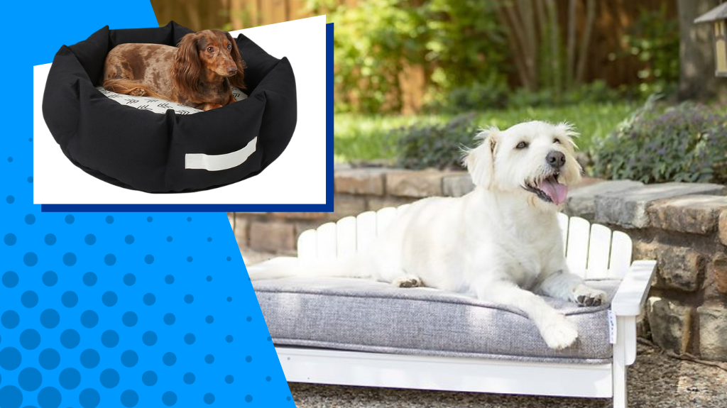 The 9 Best Outdoor Dog Beds for All Weather