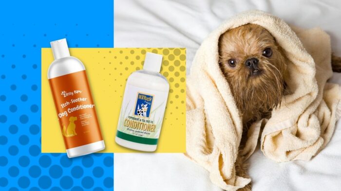 Brussels Griffon next to dog conditioners