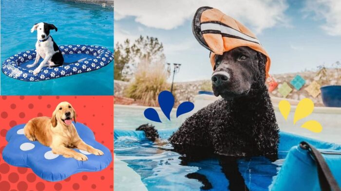 dog pool floats
