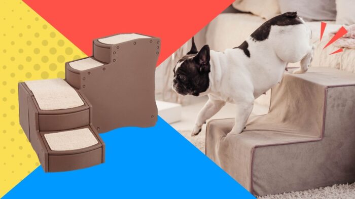 French Bulldog using dog stairs