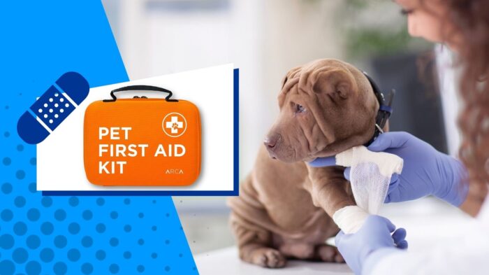 Best dog first aid kits