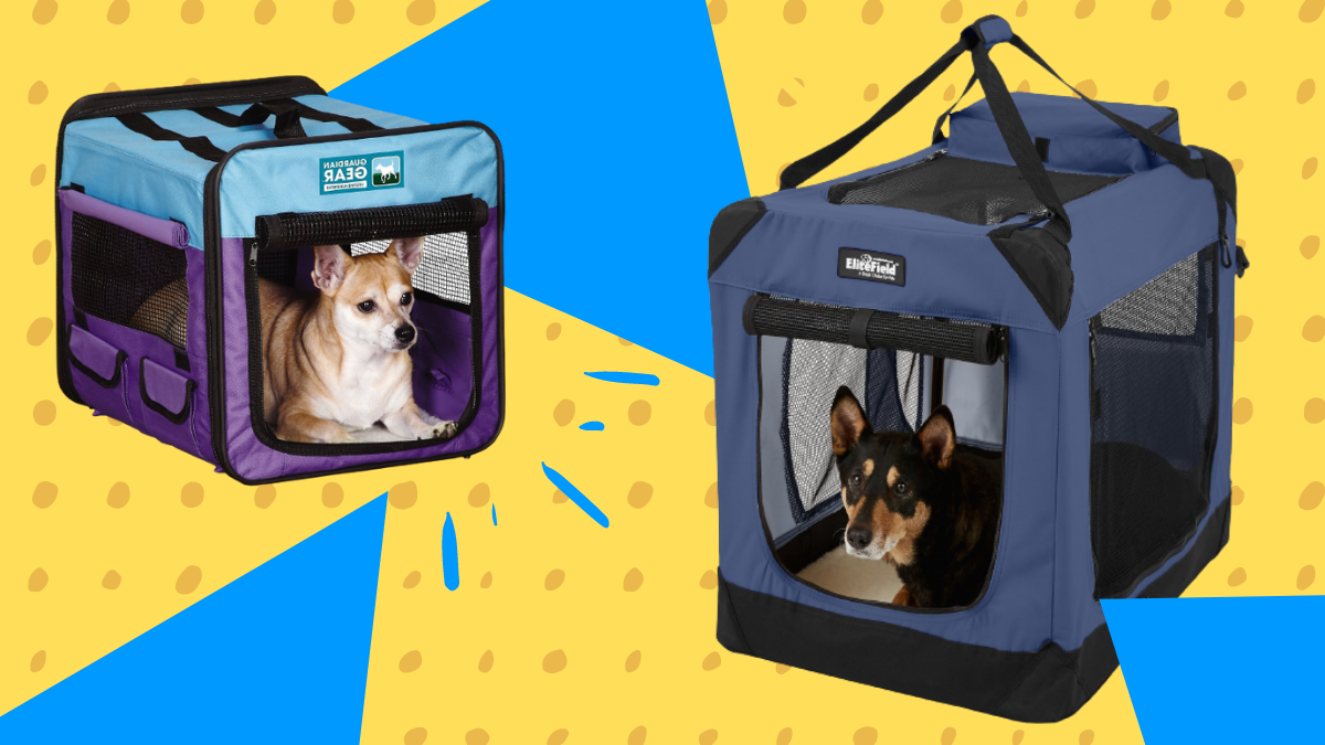 Best Soft Dog Crates Suited for Travel - Retrievist