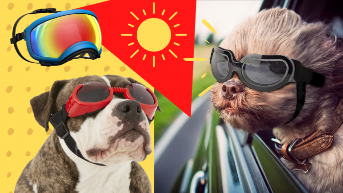 Large Dog Sunglasses UV Eye Protection Pet Goggles Sun Glasses Wear Adjustable 