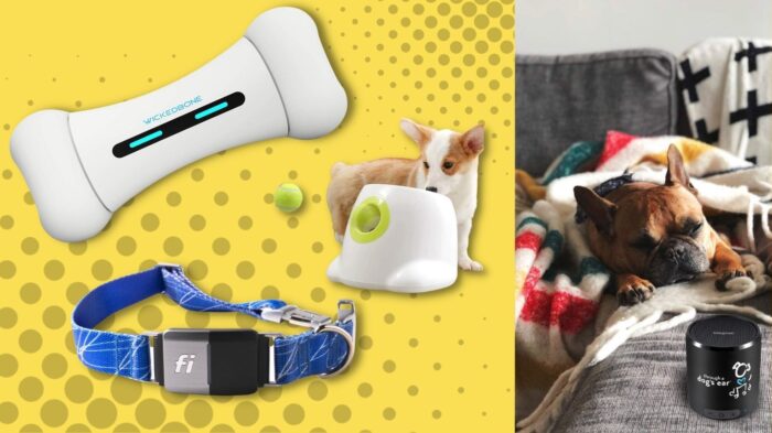 Best tech dog gifts